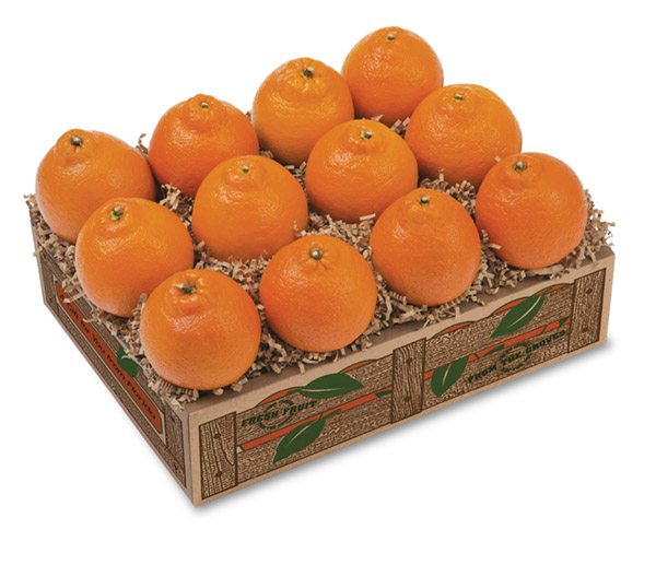 honeybell oranges