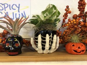 fall halloween planters