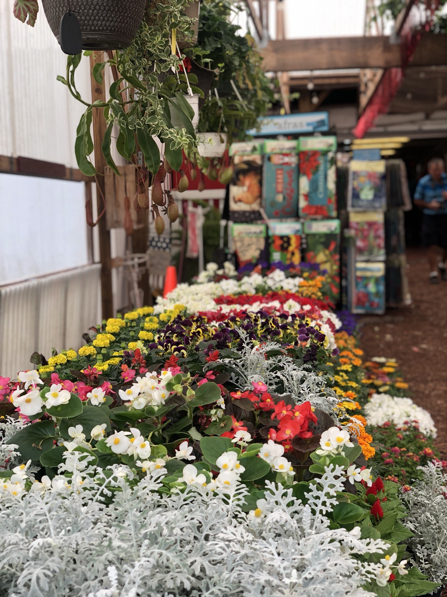 Parkesdale Farm Market Plant City Fl - nchb2tv