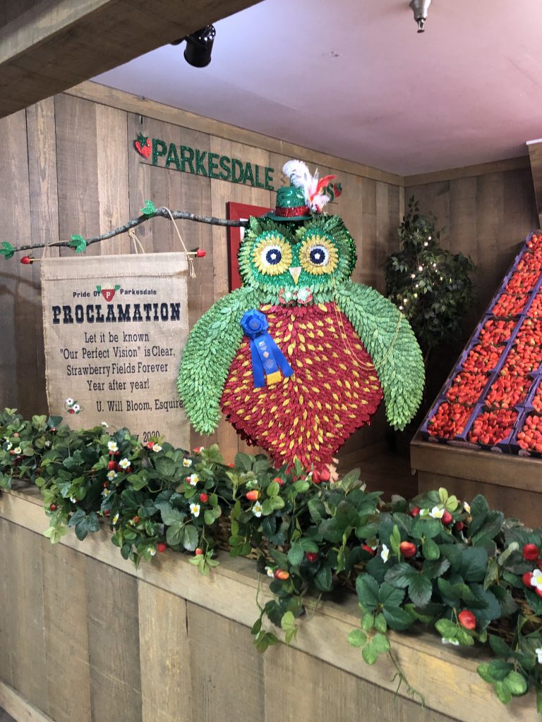 Parkesdale booth with owl looking like a strawberry