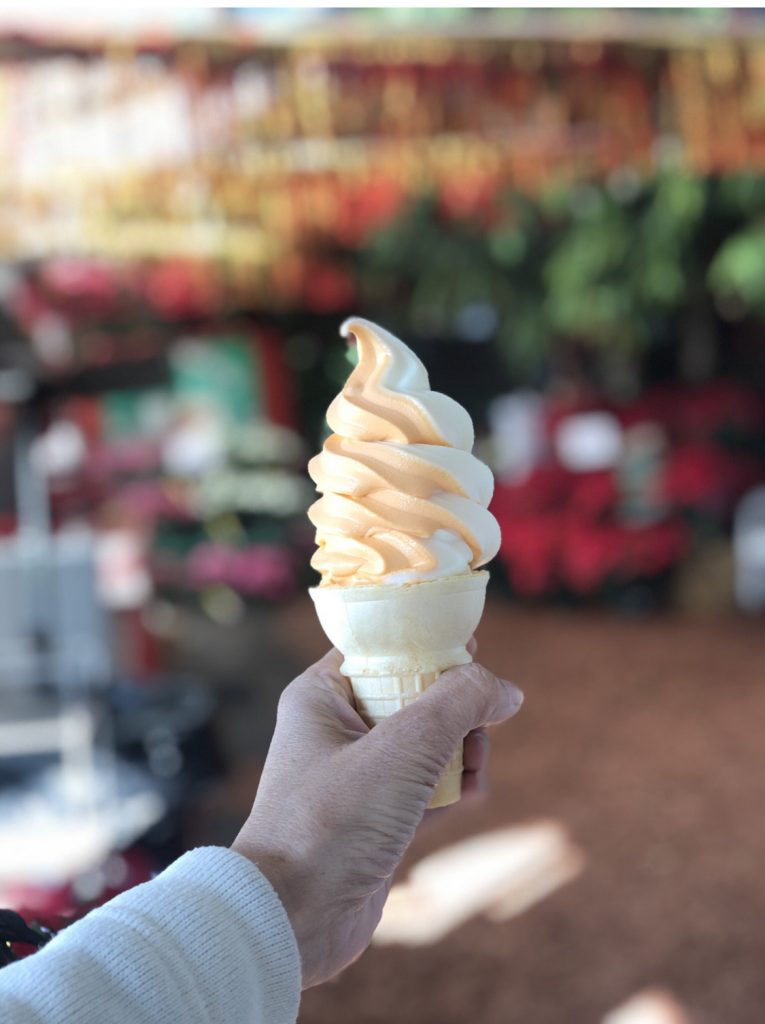 hand holding a tangerine vanilla swirl cone