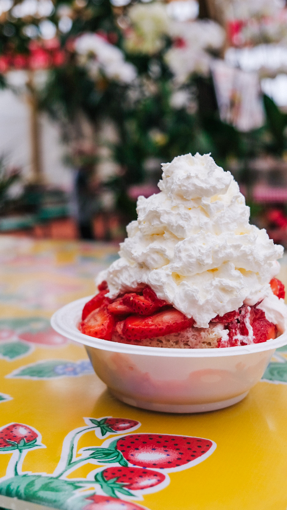 strawberry-shortcakes-are-back-parkesdale-farm-market-blog
